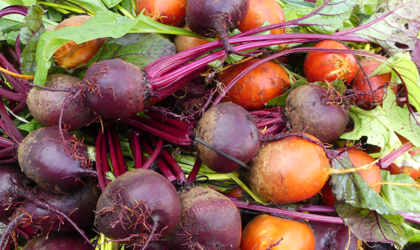 Beets