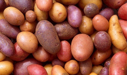 Potatoes