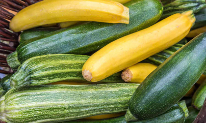 Zucchini