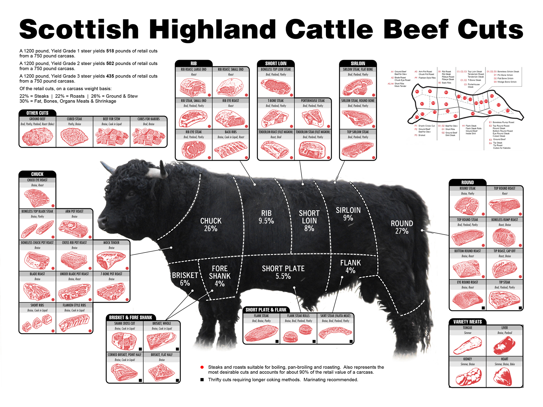 Scottish Highland Cattle is a Premium Beef Earth Haven Farm