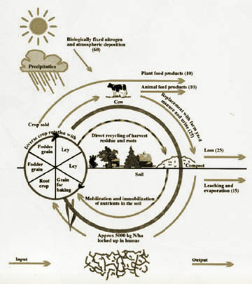 Biodynamic Diagram
