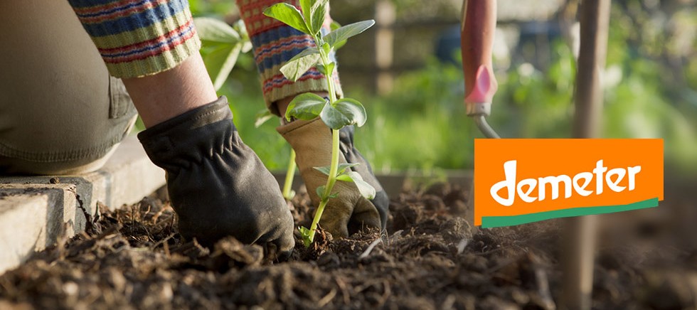 Biodynamic Farming