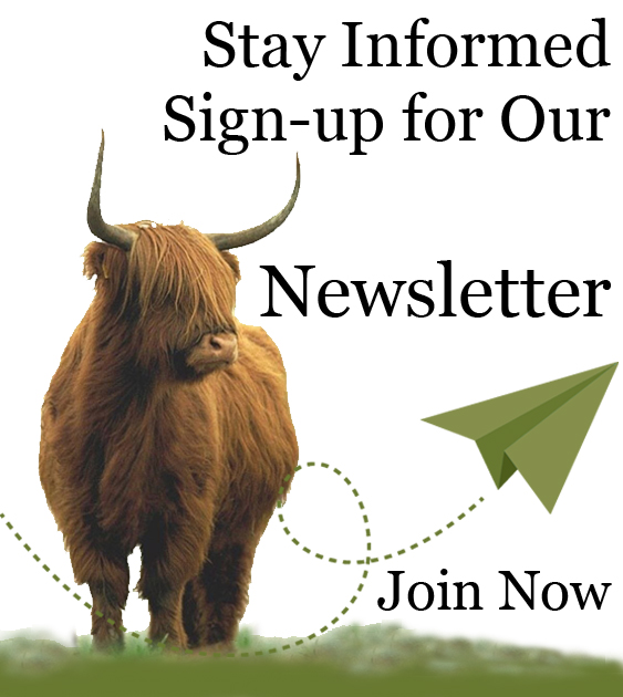 Newsletter Footer