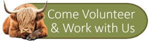 Come Volunteer with Us