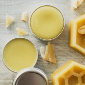 Beeswax Paw Protector