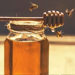 Pure Canadian Honey