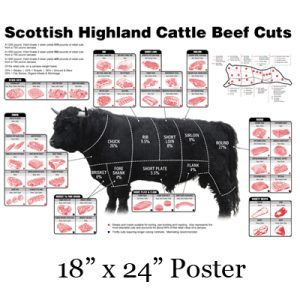 Scottish Highland Cow Poster