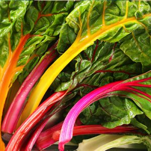 Swiss Chard (1 lb bundle)