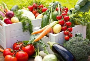Food & Health