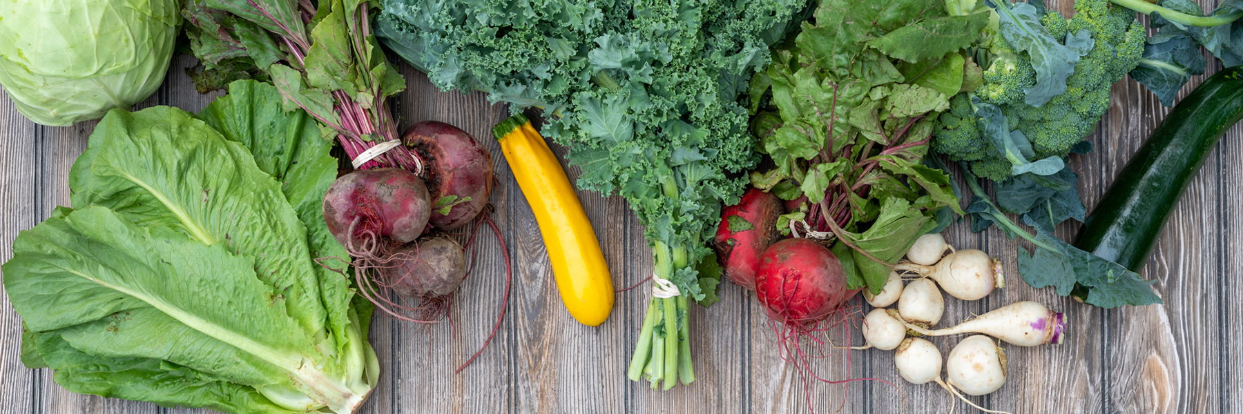 EHF_Banner_CSA-2 What is a CSA Program