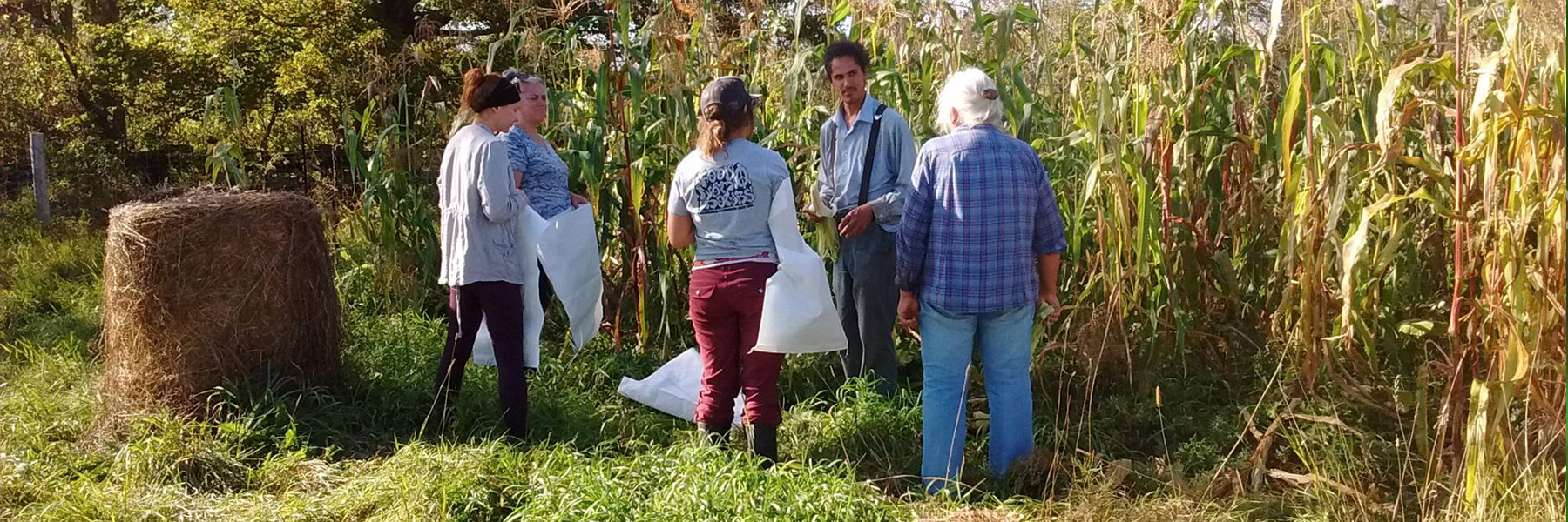 Food Sovereignty Project
