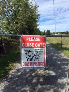 Keep Gate Closed
