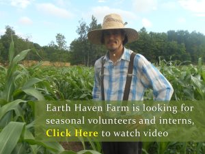 Click Here to watch video about volunteering at Earth Haven Farm