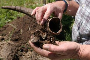 Biodynamic Prepmaker