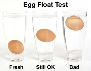 Egg Float Test
