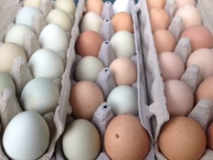 Farm Sorted Eggs
