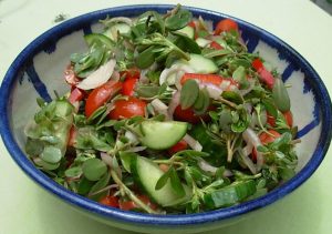 Purslane Salad