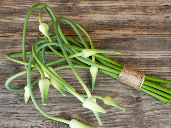 Garlic Scapes