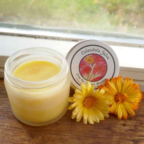 Calendula Salve