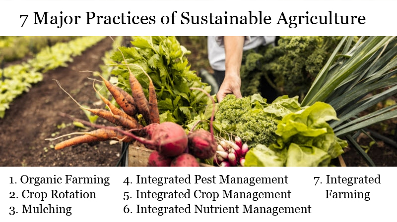 7 Practices of Sustainable Agriculutre