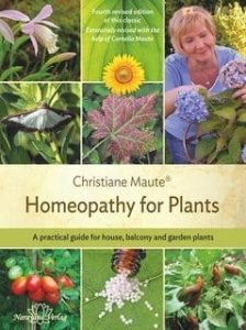 Homeopathy by Christin Maute