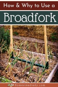 How to Use a Broadfork
