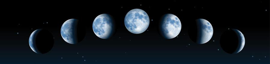 Plant by Moon Phases