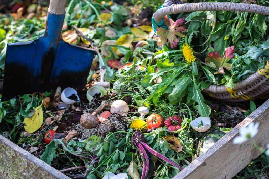 Compost Pile