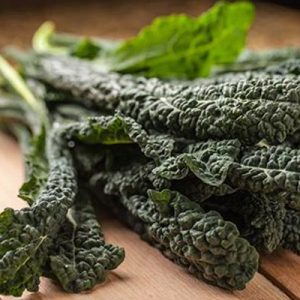 Dinosaur Black Kale