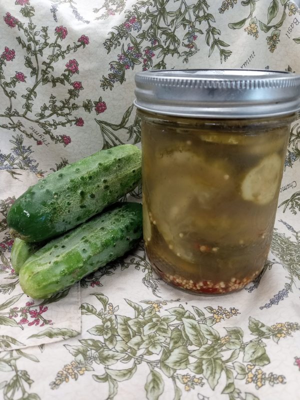 New! Fermented pickles