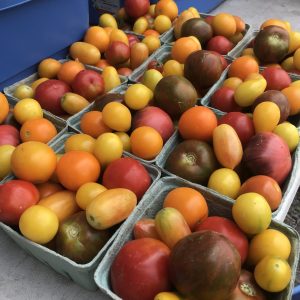 Tomatoes