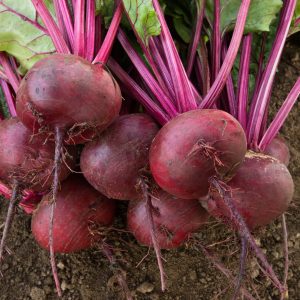 Beets