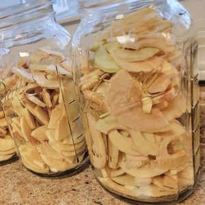 Freeze Dried Apples
