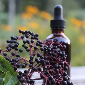 Elderberry Tincture