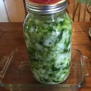Lacto-Fermented Bok Choy