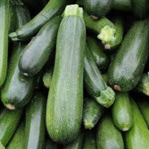 Zucchini