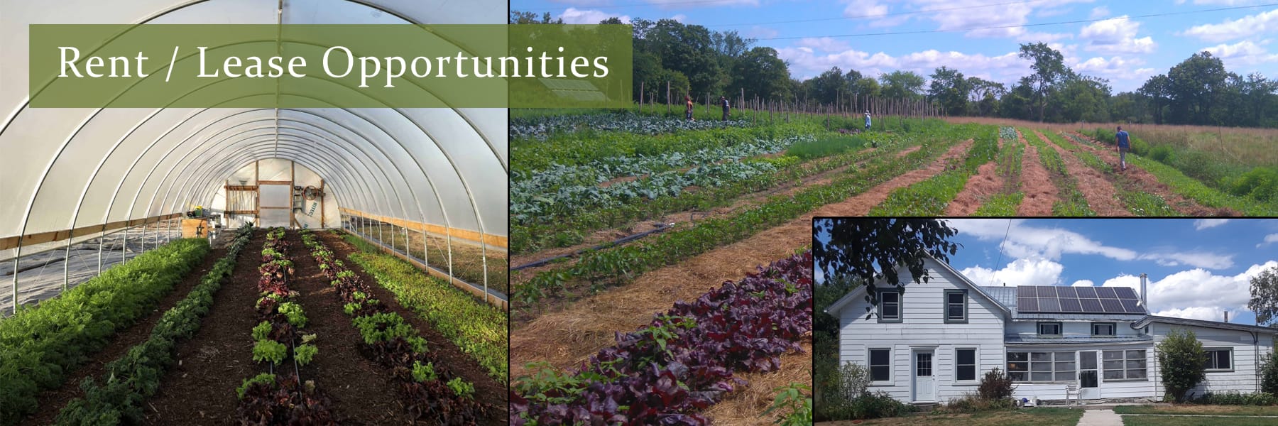 Rent-Lease-Opportunity