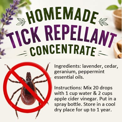 Homemade Tick Repellant Concentrate