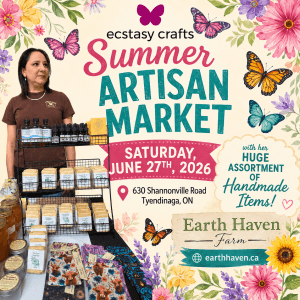 Ecstasy Crafts Summer Artisan Market