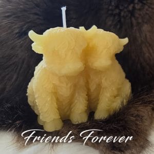 Friends Forever Beeswax Candle Cows