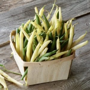 Green & Yellow Beans
