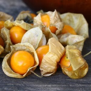 Ground Cherries